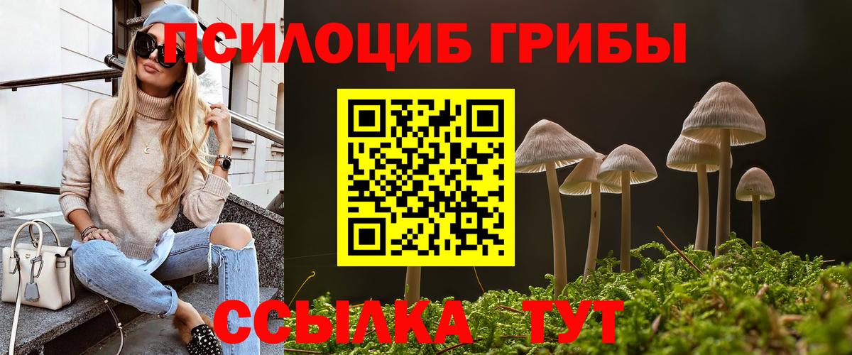 Заречный  Псилоцибиновые грибы GOLDEN TEACHER  где найти наркотики  Вход с VPN 