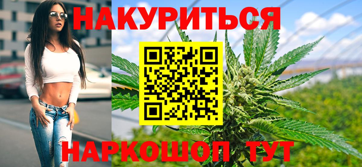 Шишки марихуана план  Вход с VPN  Заречный  Шишки марихуана семена  Марихуана семена 